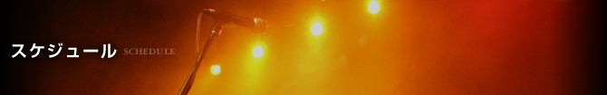 スケジュール スケジュール